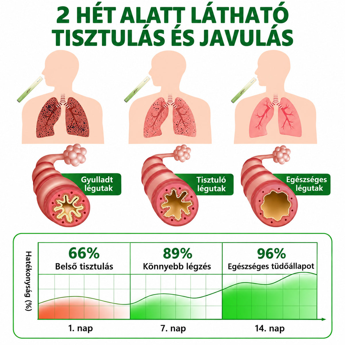 【Hivatalos Webáruház】Healrize® Gyógynövényes Ökörfarkfű Tüdőtisztító & Légzéskönnyítő Inhalátor 🌿 (Köhögéscsillapítás, nyákoldás, nehézlégzés és dohányos tüdő ápolása) 🚚 Készl🐟3️⃣